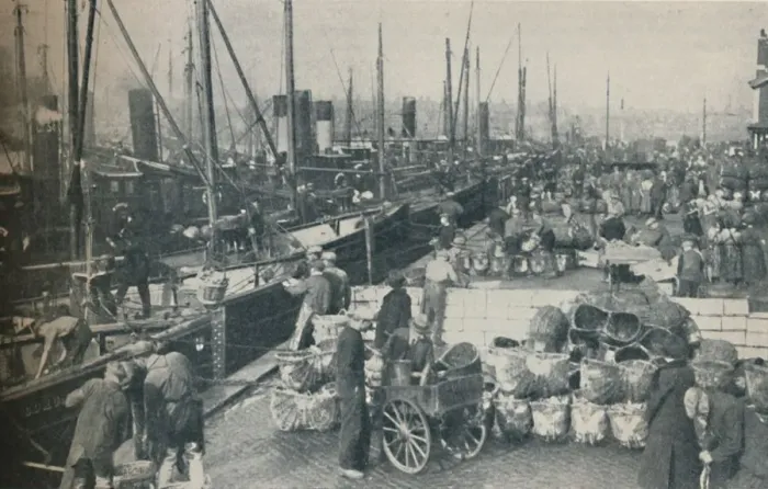 Framed Print : The Herring Season in Full Swing, 1937 Framed Print : The Herring Season in Full Swing, 1937