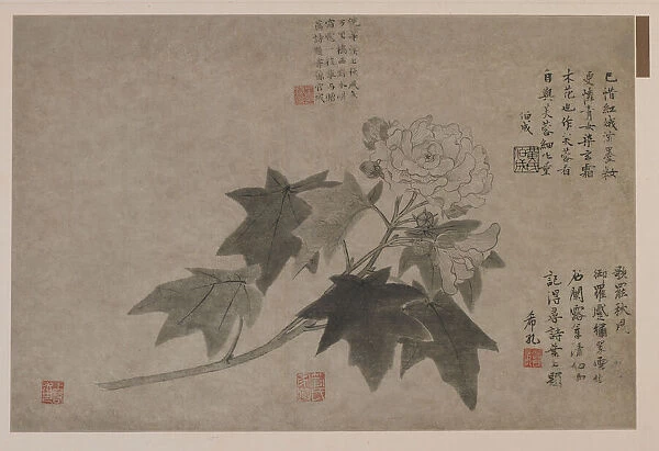 Hibiscus, 1347. Creator: Wang Yuan