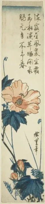 Framed Print : Hibiscus, 1830s. Creator: Ando Hiroshige Framed Print : Hibiscus, 1830s. Creator: Ando Hiroshige