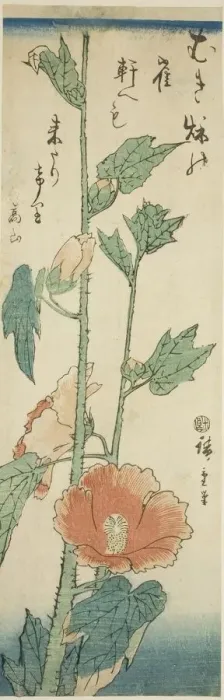 Framed Print : Hibiscus, c. 1843 / 47. Creator: Ando Hiroshige Framed Print : Hibiscus, c. 1843 / 47. Creator: Ando Hiroshige