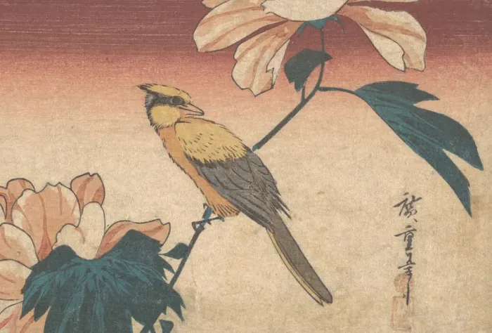 Framed Print : Hibiscus Mutabilis and Jay, ca. 1840. ca. 1840. Creator: Ando Hiroshige