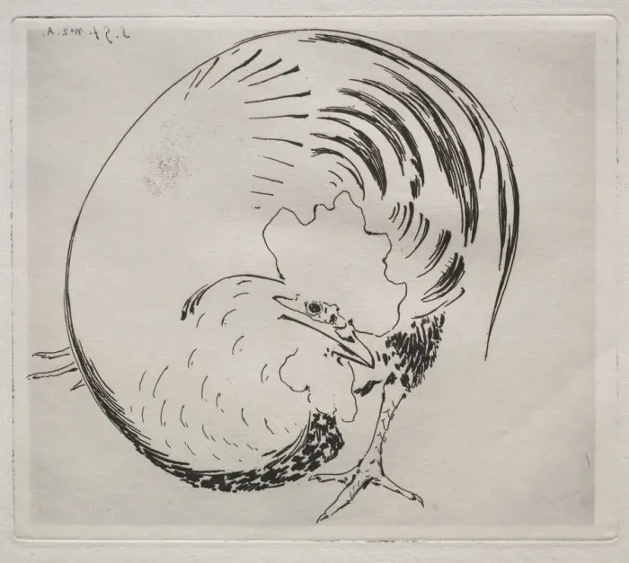 Framed Print : The High-Fired Service: Rooster, c. 1860. Creator: Felix Bracquemond (French, 1833-1914) Framed Print : The High-Fired Service: Rooster, c. 1860. Creator: Felix Bracquemond (French, 1833-1914)