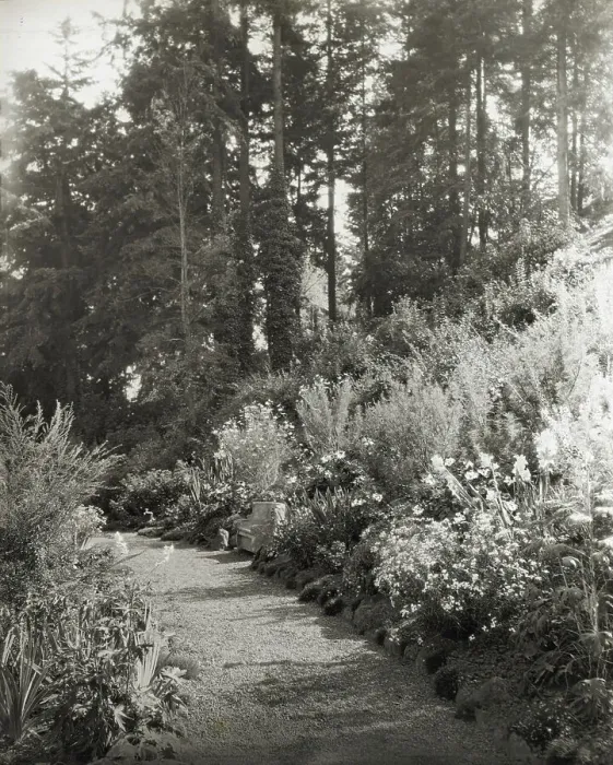 Framed Print : High Hatch, Thomas Kerr garden, SW Military Lane, Portland, Oregon, 1923. Creator: Frances Benjamin Johnston. High Hatch, Thomas Kerr garden, SW Military Lane, Portland, Oregon, 1923. Creator: Frances Benjamin Johnston Framed Print : High Hatch, Thomas Kerr garden, SW Military Lane, Portland, Oregon, 1923. Creator: Frances Benjamin Johnston. High Hatch, Thomas Kerr garden, SW Military Lane, Portland, Oregon, 1923. Creator: Frances Benjamin Johnston