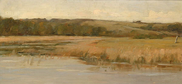 Hill and Marshland, late 19th-early 20th century. Creator: Max Weyl