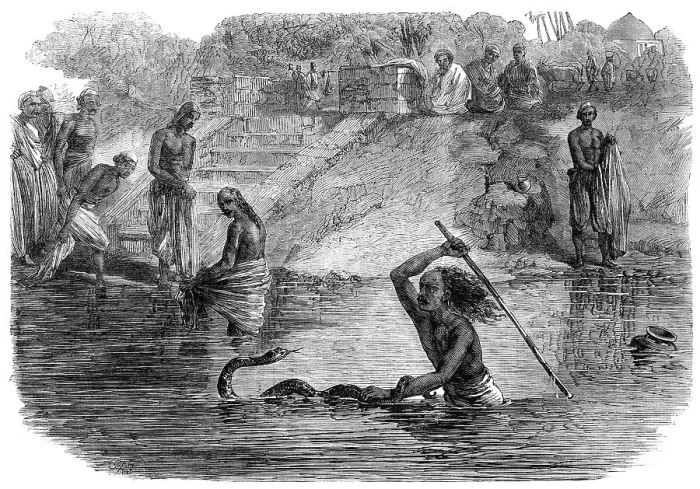 Framed Print : Hindoo bathers in the River Jumna surprised by a snake, 1864. Creator: J. A. B Framed Print : Hindoo bathers in the River Jumna surprised by a snake, 1864. Creator: J. A. B