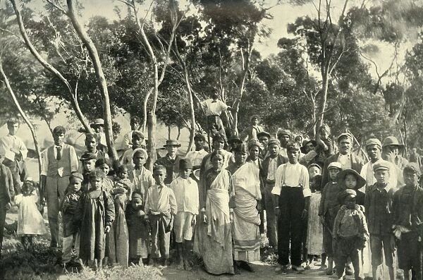 Hindoo Refugees from the Transvaal in Camp at Cape Town, 1900. Creator: Alfs Hosking