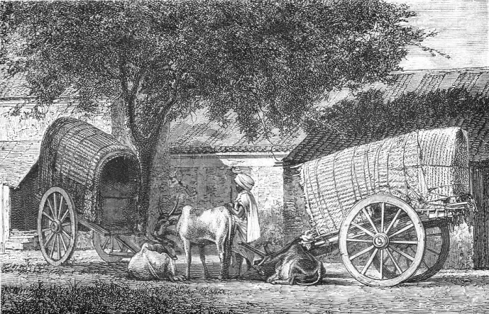 Framed Print : Hindoo Travelling Cars; Notes on the Indian Wolf, Canis Pallipes. 1875. Creator: Charles Horne. Hindoo Travelling Cars; Notes on the Indian Wolf, Canis Pallipes. 1875. Creator: Charles Horne Framed Print : Hindoo Travelling Cars; Notes on the Indian Wolf, Canis Pallipes. 1875. Creator: Charles Horne. Hindoo Travelling Cars; Notes on the Indian Wolf, Canis Pallipes. 1875. Creator: Charles Horne