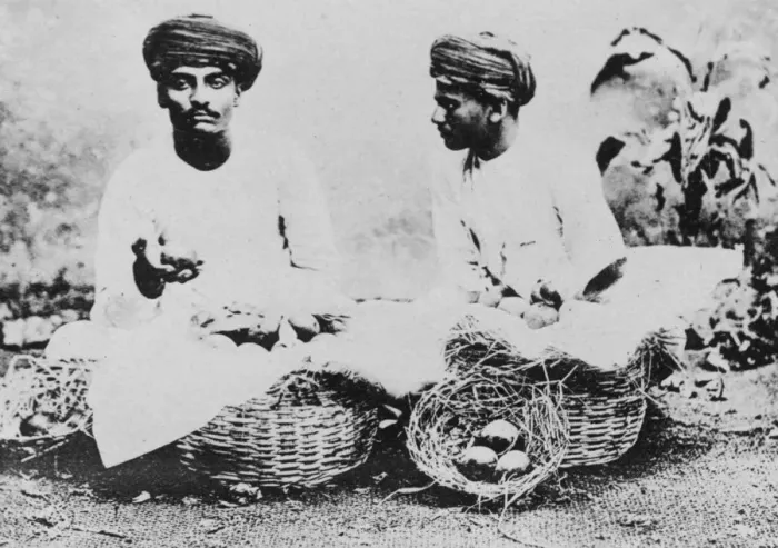 Framed Print : Hindu fruit sellers, India, 20th century Framed Print : Hindu fruit sellers, India, 20th century