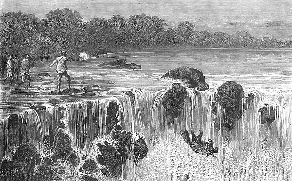 Hippopotami at the falls of the Senegal, in Bambouk; Journey from the Senegal to the Niger, 1875. Creator: Unknown