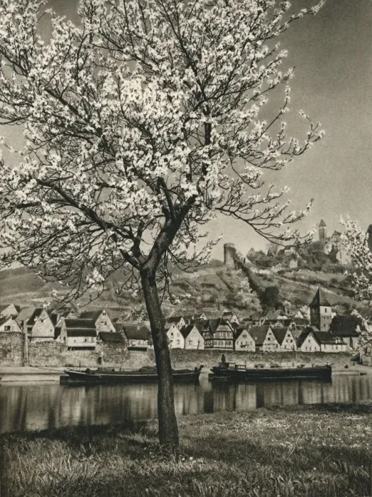 Framed Print : Hirschhorn a. Neckar, 1931. Artist: Kurt Hielscher Framed Print : Hirschhorn a. Neckar, 1931. Artist: Kurt Hielscher