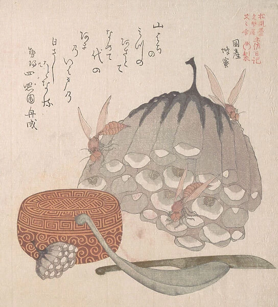 Hives with Wasps, and a Box with a Spoon for Honey, 19th century. Creator: Kubo Shunman