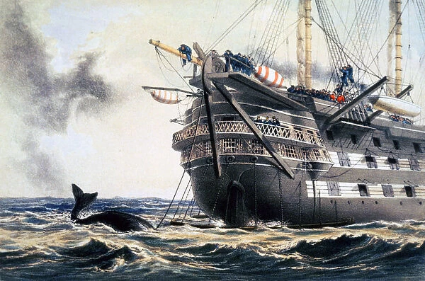 HMS Agamemnon laying the original Atlantic telegraph cable, 1857 (1866). Artist