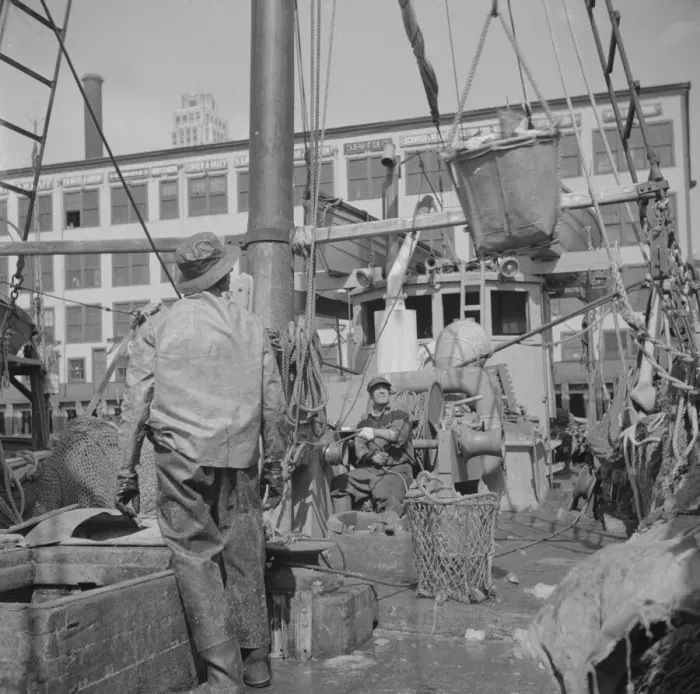Framed Print : A hoister unloading fish at the Fulton fish market, New York, 1943. Creator: Gordon Parks Framed Print : A hoister unloading fish at the Fulton fish market, New York, 1943. Creator: Gordon Parks