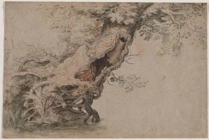 Framed Print : Hollow Tree, after Roelant Savery, after 1670. Creator: Lambert Doomer (Dutch, 1623-1700) Framed Print : Hollow Tree, after Roelant Savery, after 1670. Creator: Lambert Doomer (Dutch, 1623-1700)