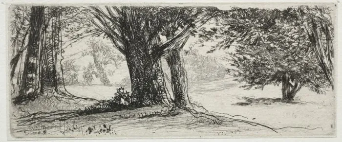 Framed Print : The Holly Field. Creator: Francis Seymour Haden (British, 1818-1910) Framed Print : The Holly Field. Creator: Francis Seymour Haden (British, 1818-1910)
