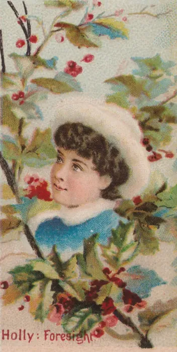 Framed Print : Holly: Foresight, from the series Floral Beauties and Language of Flowers (N75 Framed Print : Holly: Foresight, from the series Floral Beauties and Language of Flowers (N75