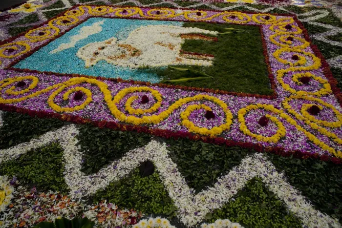 Framed Print : Holy Week Surco Flower Carpet, Lima, Peru, 2015. Creator: Luis Rosendo