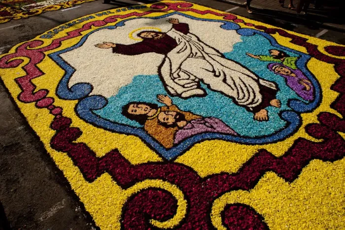 Framed Print : Holy Week Surco Flower Carpet, Lima, Peru, 2015. Creator: Luis Rosendo Framed Print : Holy Week Surco Flower Carpet, Lima, Peru, 2015. Creator: Luis Rosendo