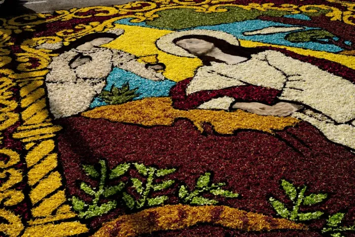 Framed Print : Holy Week Surco Flower Carpet, Lima, Peru, 2015. Creator: Luis Rosendo Framed Print : Holy Week Surco Flower Carpet, Lima, Peru, 2015. Creator: Luis Rosendo