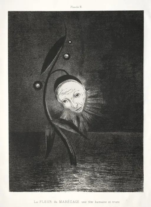 Framed Print : Homage to Goya: The Marsh Flower, a Sad Human Head, 1885. Creator: Odilon Redon (French Framed Print : Homage to Goya: The Marsh Flower, a Sad Human Head, 1885. Creator: Odilon Redon (French
