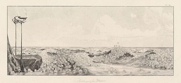 Homage (Huldigung), 1878  /  1880. Creator: Max Klinger