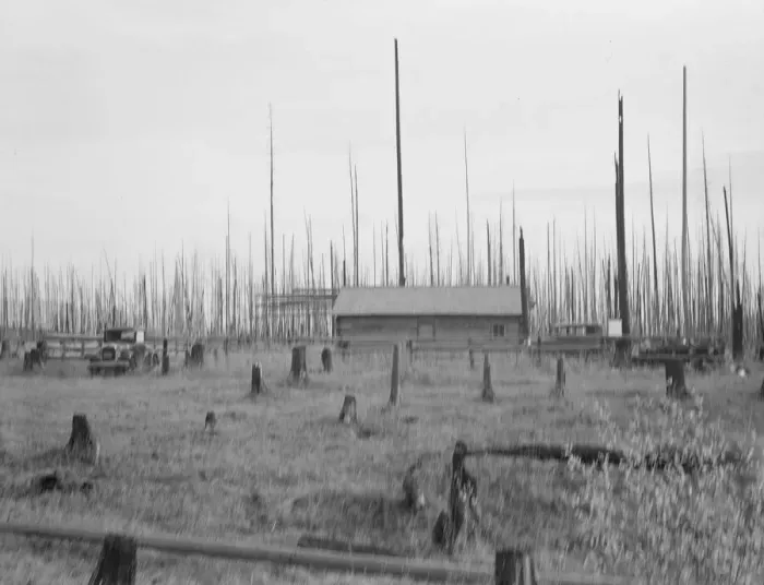 Framed Print : Home of the FSA borrower who moved on this land... Priest River Peninsula, Idaho, 1939. Creator: Dorothea Lange Framed Print : Home of the FSA borrower who moved on this land... Priest River Peninsula, Idaho, 1939. Creator: Dorothea Lange