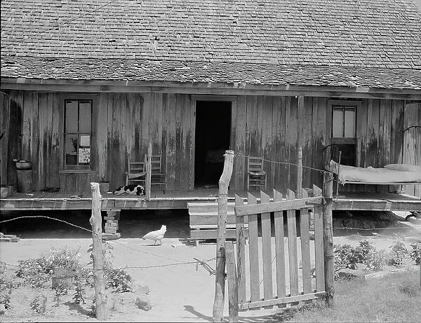 Home of white tenant farmer family, Newport, Oklahoma, 1937. Creator: Dorothea Lange