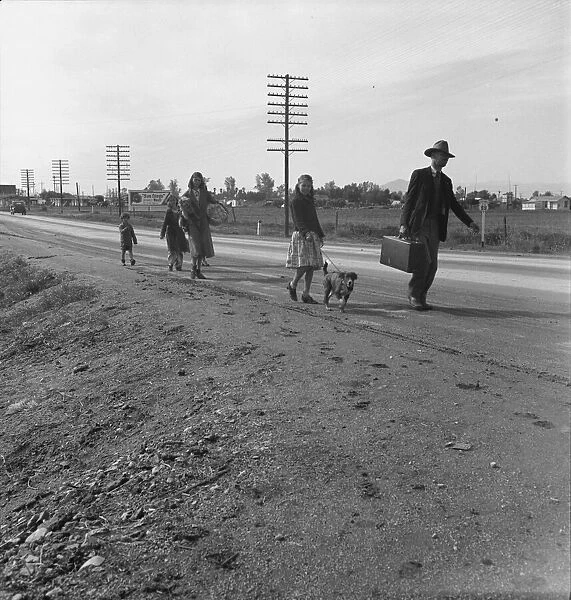 Homeless family of seven, walking the highway... on U.S. 99, near Brawley, Imperial County, 1939. Creator: Dorothea Lange