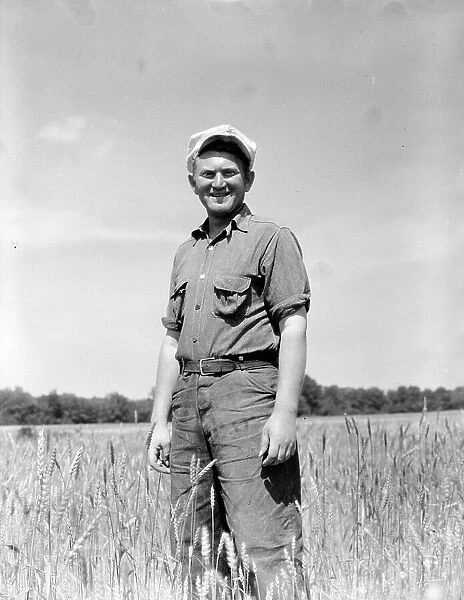 Homesteader, farmer, who has been working on the community farm since 1934, Hightstown, NJ, 1936. Creator: Dorothea Lange