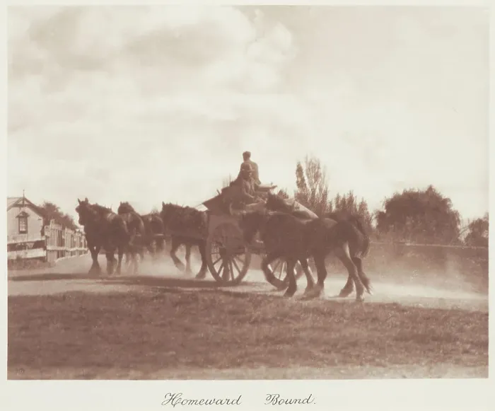 Framed Print : Homeward bound. From the album: Camera Pictures of New Zealand, 1920s. Creator: Harry Moult Framed Print : Homeward bound. From the album: Camera Pictures of New Zealand, 1920s. Creator: Harry Moult