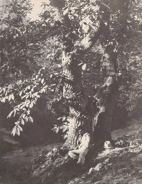 Homme allonge au pied d un chataignier, 1850-53. Creator: Charles Marville