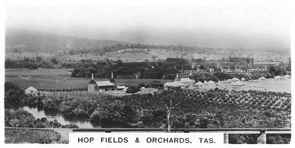 Hop fields and orchards, Tasmania, Australia, 1928