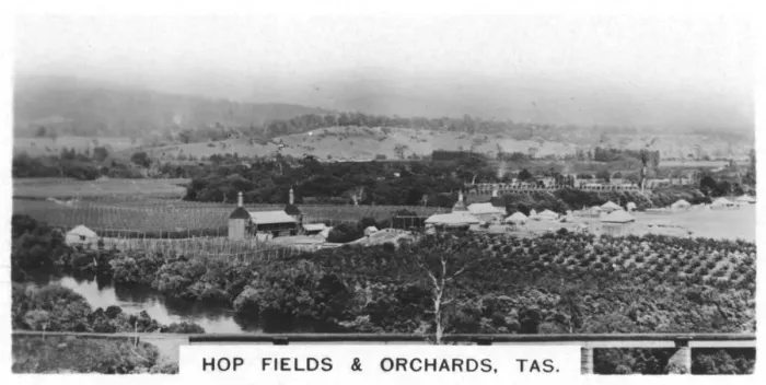 Framed Print : Hop fields and orchards, Tasmania, Australia, 1928 Framed Print : Hop fields and orchards, Tasmania, Australia, 1928
