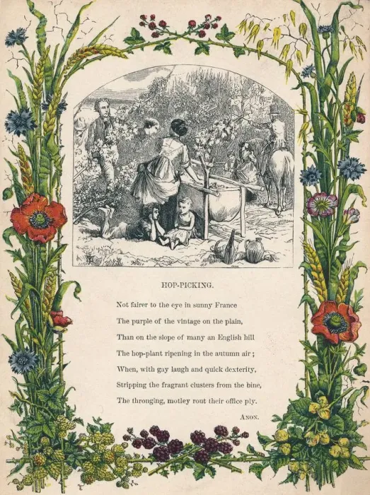Framed Print : Hop-Picking, c1900 Framed Print : Hop-Picking, c1900