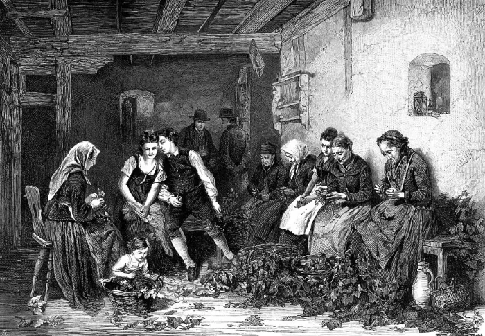 Framed Print : Hop-Picking in Germany, by Rudolph Hirth, 1872. Creator: Unknown Framed Print : Hop-Picking in Germany, by Rudolph Hirth, 1872. Creator: Unknown