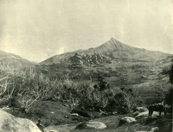 Framed Print : The Horn, Buffalo Mountains, Victoria, 1901. Creator: Unknown Framed Print : The Horn, Buffalo Mountains, Victoria, 1901. Creator: Unknown