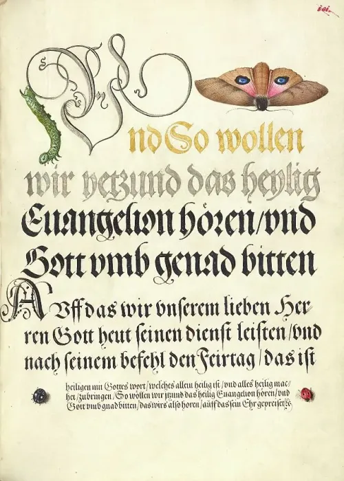 Framed Print : Horntail Caterpillar, Eyed Hawk-Moth, Beetle, Two-Spot Ladybird, 1561-1562; illumination added 1591- Creator: Joris Hoefnagel Framed Print : Horntail Caterpillar, Eyed Hawk-Moth, Beetle, Two-Spot Ladybird, 1561-1562; illumination added 1591- Creator: Joris Hoefnagel