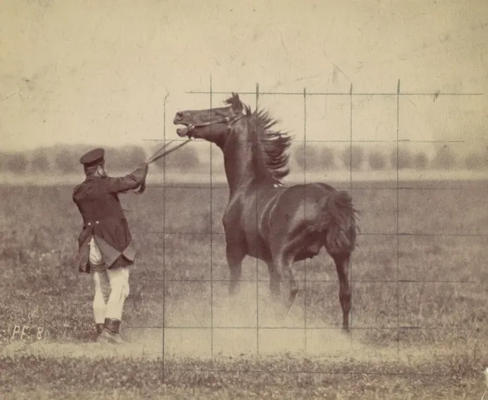 Framed Print : Horse, 1884. Creator: Ottomar Anschütz Framed Print : Horse, 1884. Creator: Ottomar Anschütz