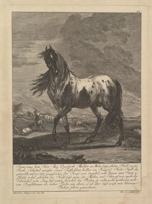 Framed Print : Horse, 18th Century. Creator: Unknown Framed Print : Horse, 18th Century. Creator: Unknown