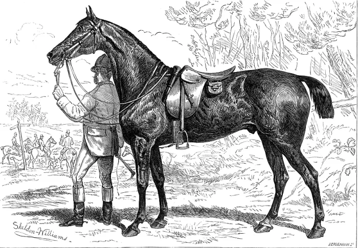 Framed Print : The Horse Show at the Agricultural Hall, Islington: Mr. W. Armstrong's hunter, Cashier, 1874. Creator: Unknown. The Horse Show at the Agricultural Hall, Islington: Mr. W. Armstrong's hunter, Cashier, 1874 Framed Print : The Horse Show at the Agricultural Hall, Islington: Mr. W. Armstrong's hunter, Cashier, 1874. Creator: Unknown. The Horse Show at the Agricultural Hall, Islington: Mr. W. Armstrong's hunter, Cashier, 1874