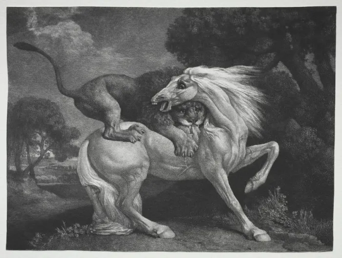 Framed Print : A Horse Attacked by a Lion, 1788. Creator: George Stubbs (British, 1724-1806) Framed Print : A Horse Attacked by a Lion, 1788. Creator: George Stubbs (British, 1724-1806)