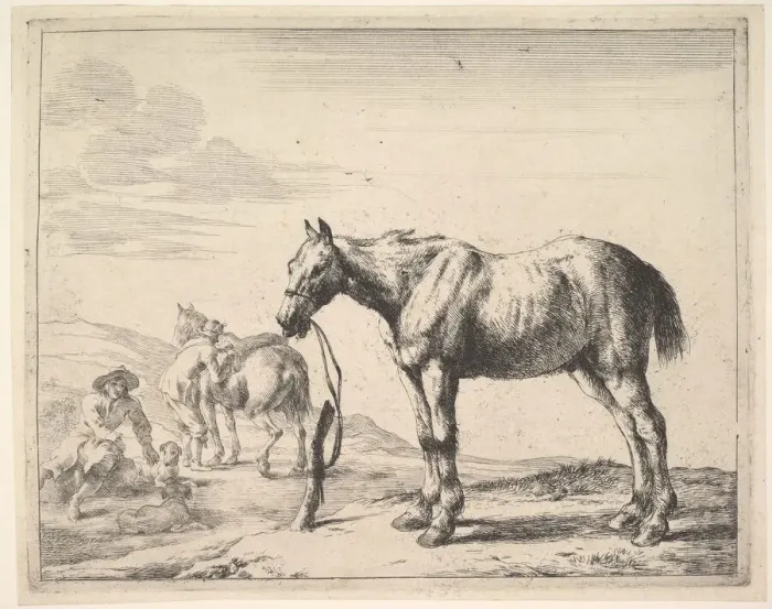 Framed Print : Horse Bound to a Post, turned left. Creator: Dirck Stoop Framed Print : Horse Bound to a Post, turned left. Creator: Dirck Stoop