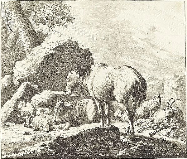 A Horse, Buffalo, Sheep, and Goat in an Italian Landscape. Creator: Johann Elias Ridinger