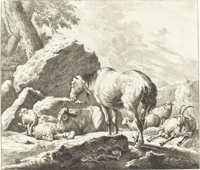 Framed Print : A Horse, Buffalo, Sheep, and Goat in an Italian Landscape. Creator: Johann Elias Ridinger Framed Print : A Horse, Buffalo, Sheep, and Goat in an Italian Landscape. Creator: Johann Elias Ridinger