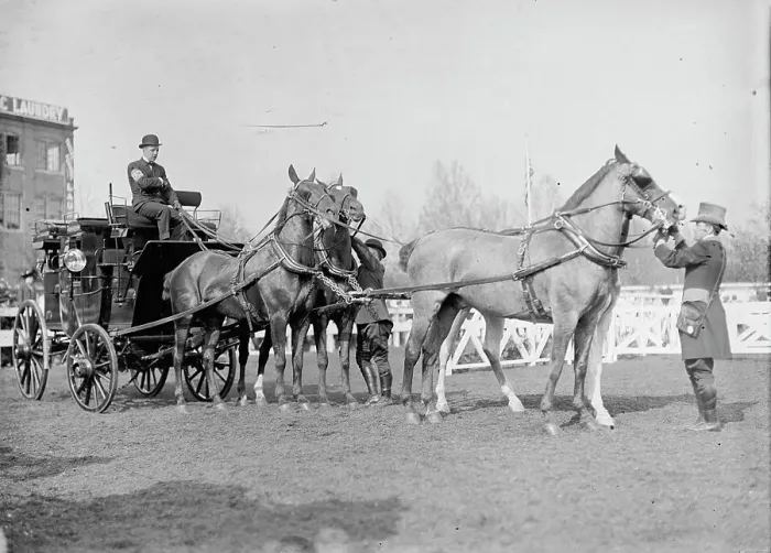 Framed Print : Horse Show - Busch, Adolphus, Iii, of St. Louis, 1911. Creator: Harris & Ewing. Horse Show - Busch, Adolphus, Iii, of St. Louis, 1911. Creator: Harris & Ewing Framed Print : Horse Show - Busch, Adolphus, Iii, of St. Louis, 1911. Creator: Harris & Ewing. Horse Show - Busch, Adolphus, Iii, of St. Louis, 1911. Creator: Harris & Ewing