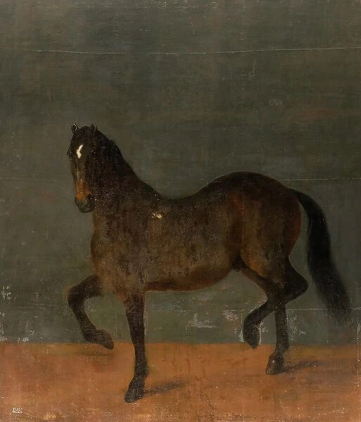 Horse called the Firecutter, c17th century. Creator: David Klocker Ehrenstrahl