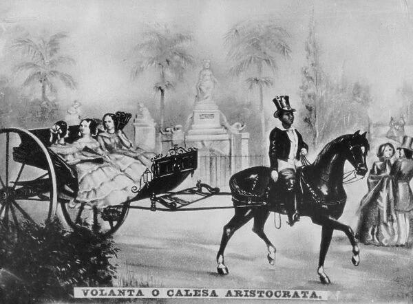 Horse and carriage of the aristocracy, c1910