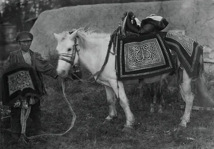 Framed Print : Horse in festive harness and rider in ceremonial attire, 1890. Creator: Unknown Framed Print : Horse in festive harness and rider in ceremonial attire, 1890. Creator: Unknown