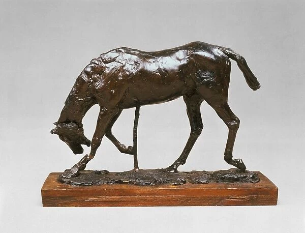 Horse with Head Lowered, 1880s  /  early 1890s. Creator: Edgar Degas