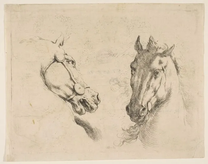 Framed Print : Two Horse Heads, ca. 1649. Creator: Stefano della Bella Framed Print : Two Horse Heads, ca. 1649. Creator: Stefano della Bella